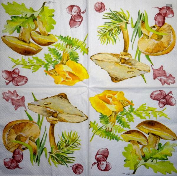 229 Autumn - 3-ply - Home Fashion